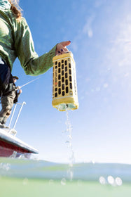 Ranger - Fighting Lady Yellow