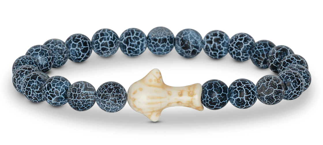 The Quest - Whale Shark