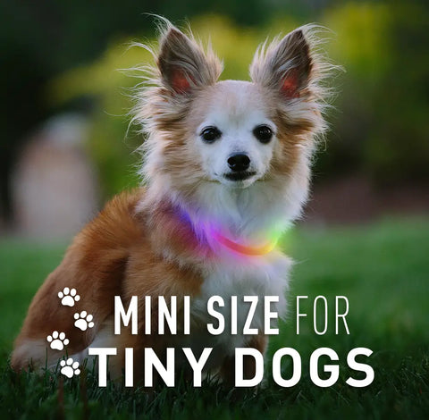 NiteHowl Mini Rechargeable LED Safety Necklace - Disc-O Select