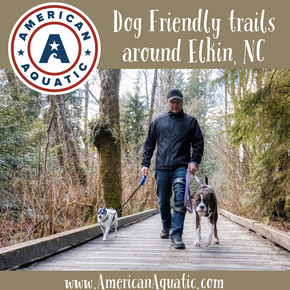Dog-Friendly Hiking Trails Around Elkin: Exploring Nature with Your Furry Friend.