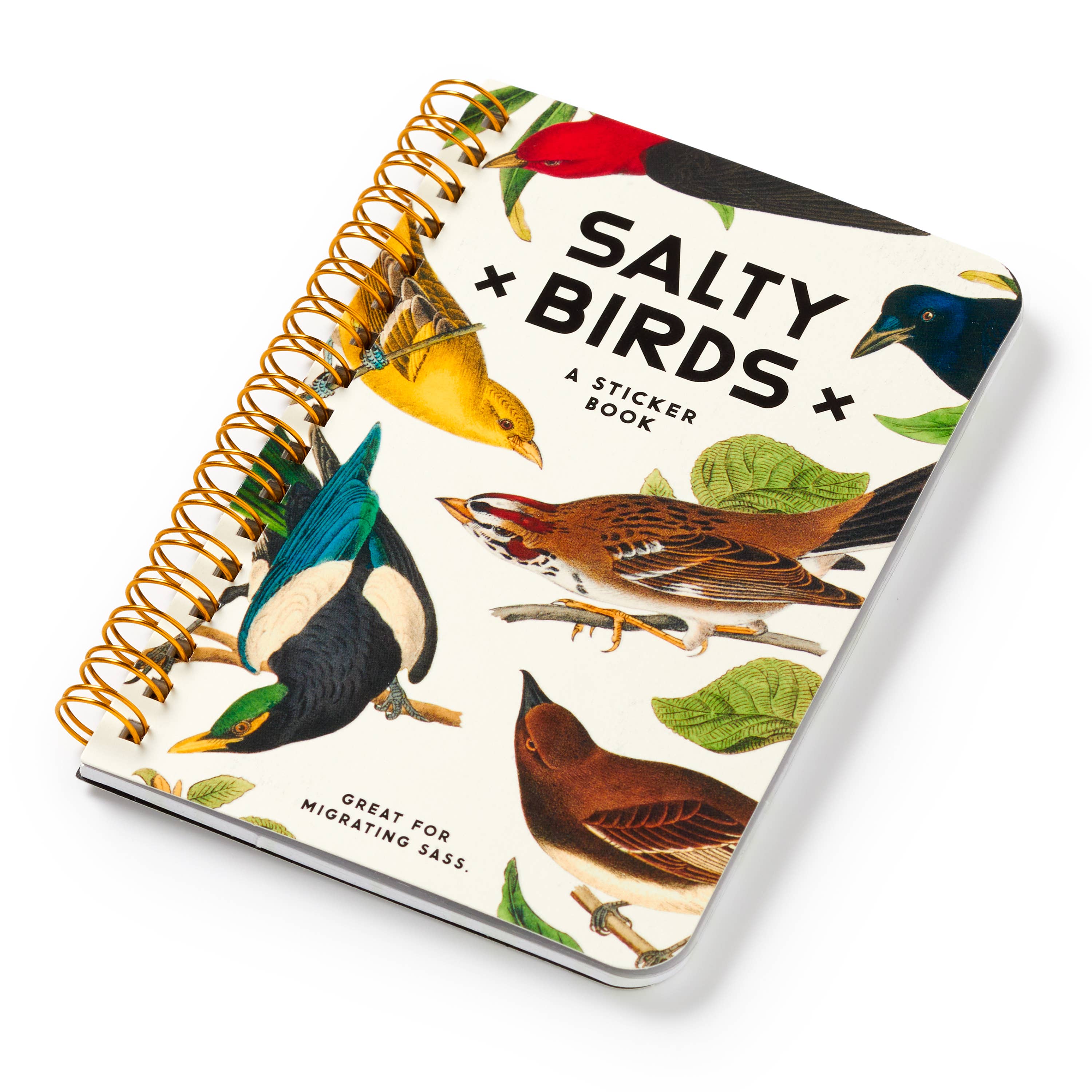 Salty Birds Sticker Book