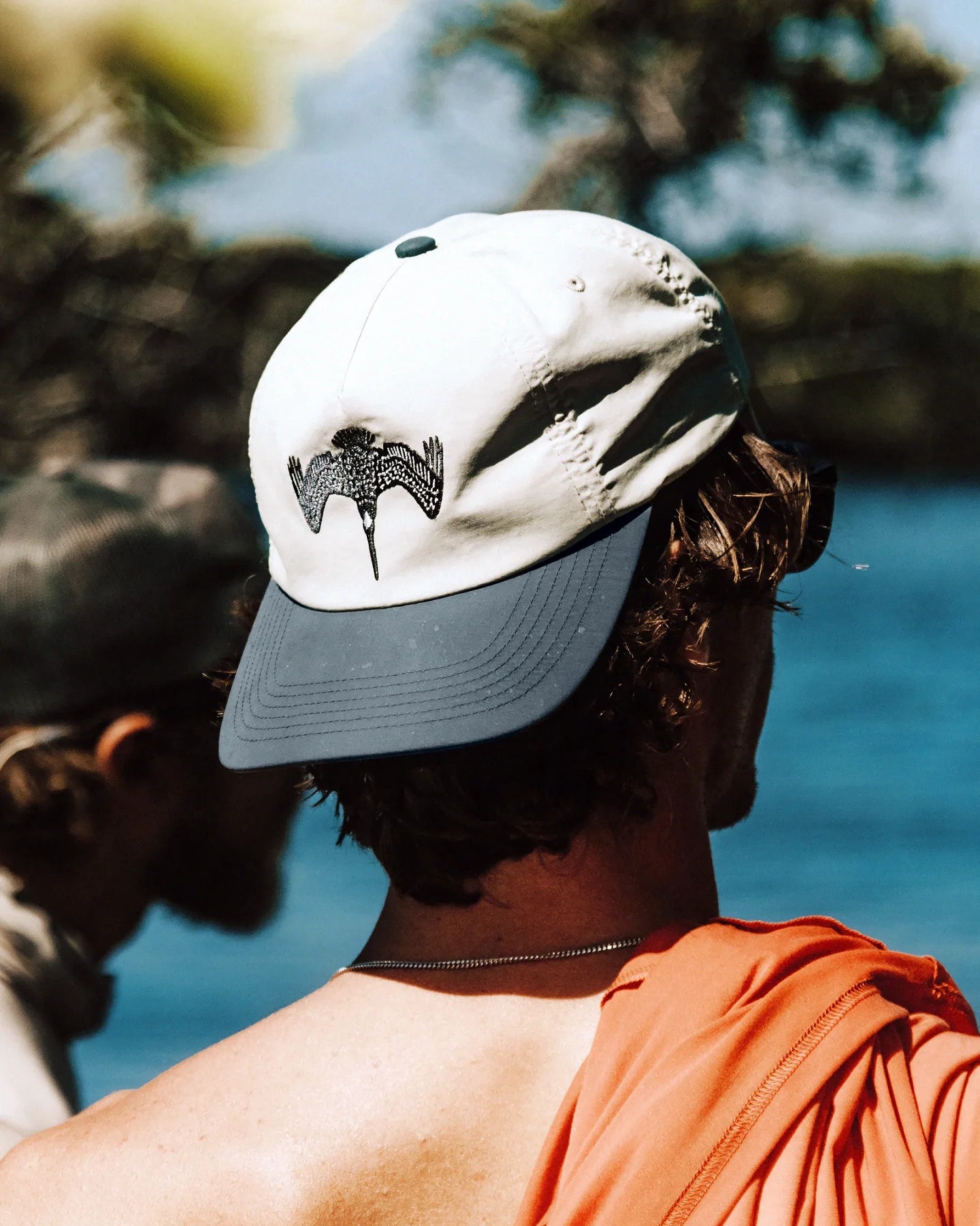 Dive Bomb Performance Hat