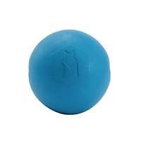 GnarBall Rubber Dog Toy