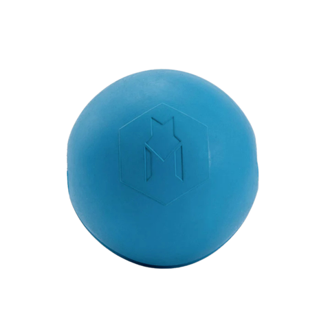 GnarBall Rubber Dog Toy