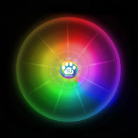 Flashflight Dog Discuit LED Flying Disc