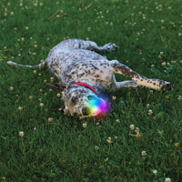 GlowStreak Rechargeable LED Ball - Disc-O