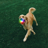 GlowStreak Rechargeable LED Ball - Disc-O