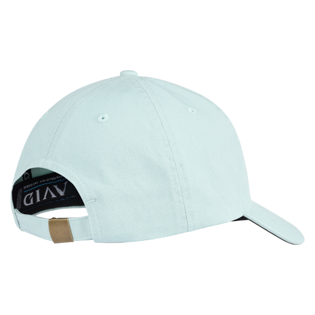 Dad Cap