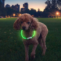 NiteHowl Rechargeable LED Safety Necklace