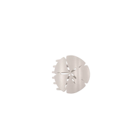 Sand Dollar Tiny Flat Hair Clip