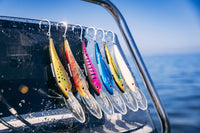 Nomad DTX Minnow 220 LRS 9"